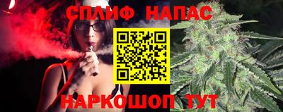 сатива Новозыбков