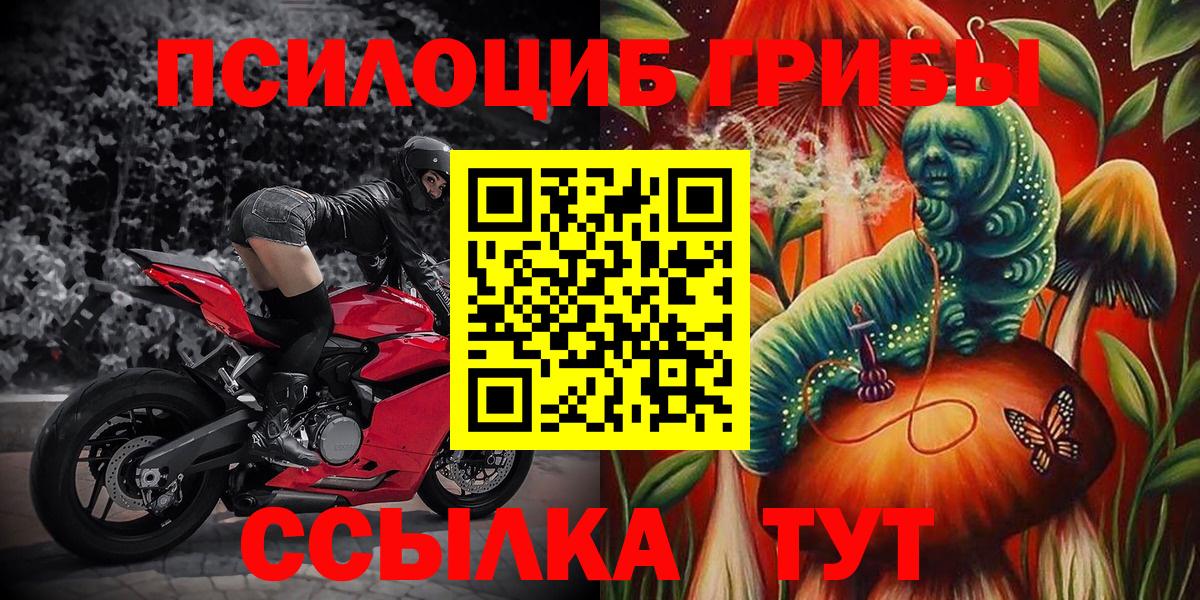 Псилоцибиновые грибы GOLDEN TEACHER Отрадное