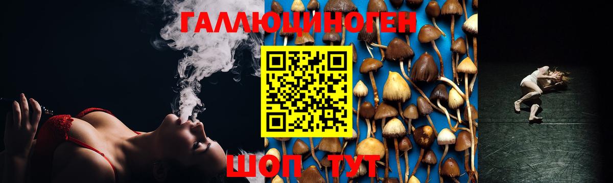 Галлюциногенные грибы прущие грибы  Вход с VPN  Галлюциногенные грибы Psilocybine cubensis  Отрадное 